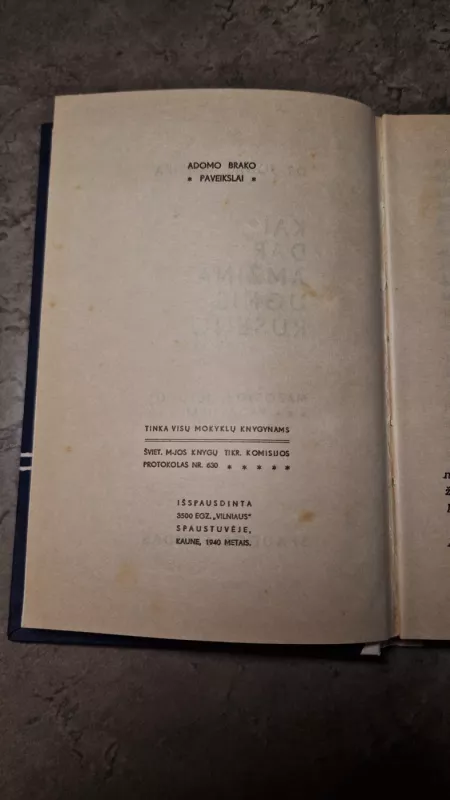 Kai dar amžina ugnis ruseno - Jonas Remeika, knyga 5