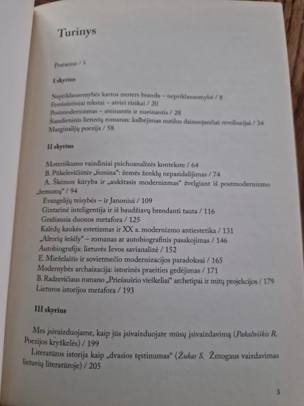 Modernizmas lietaus šaly - Rima Pociūtė, knyga 3