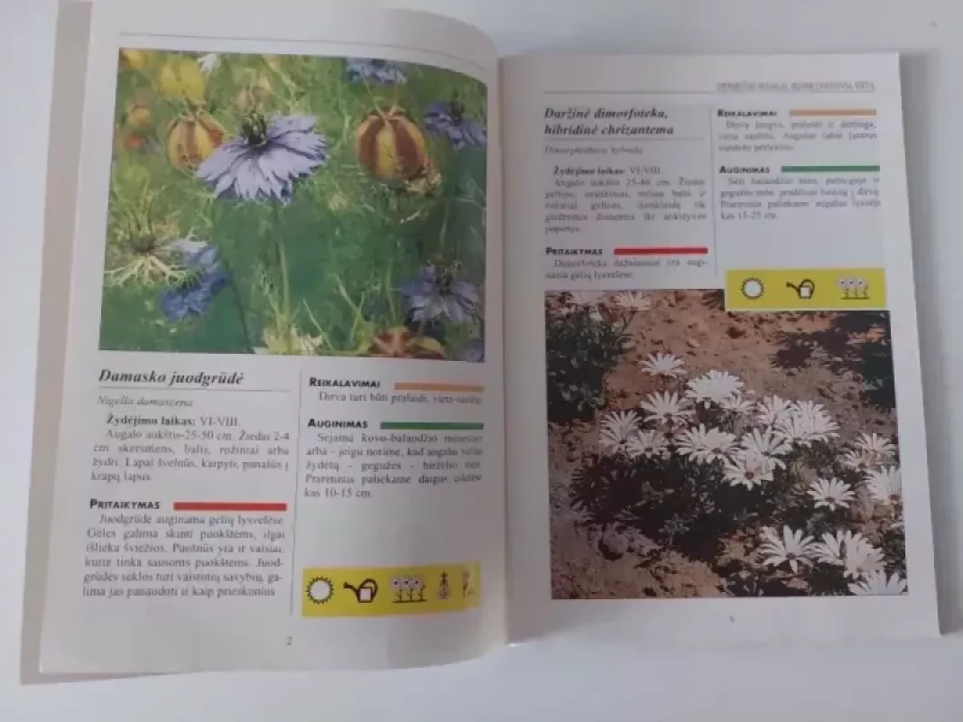 Sodo gėlės - Autorių Kolektyvas, knyga 5