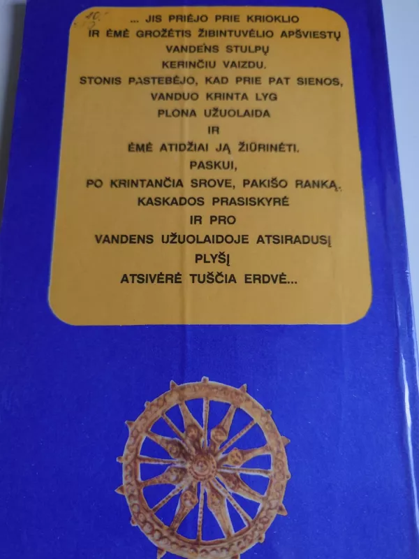 Indijos karaliaus turtai - A. Kosa, knyga 3