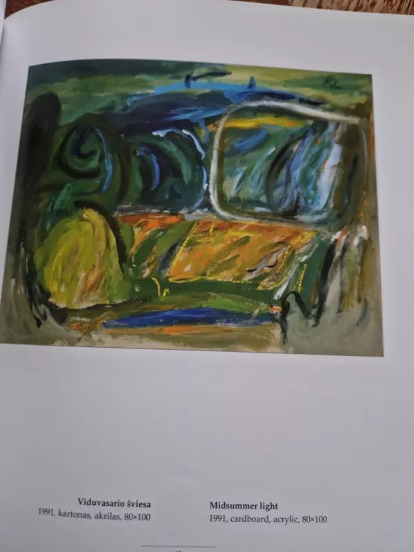 Romualdas Lankauskas. Tapyba - Romualdas Lankauskas, knyga 6