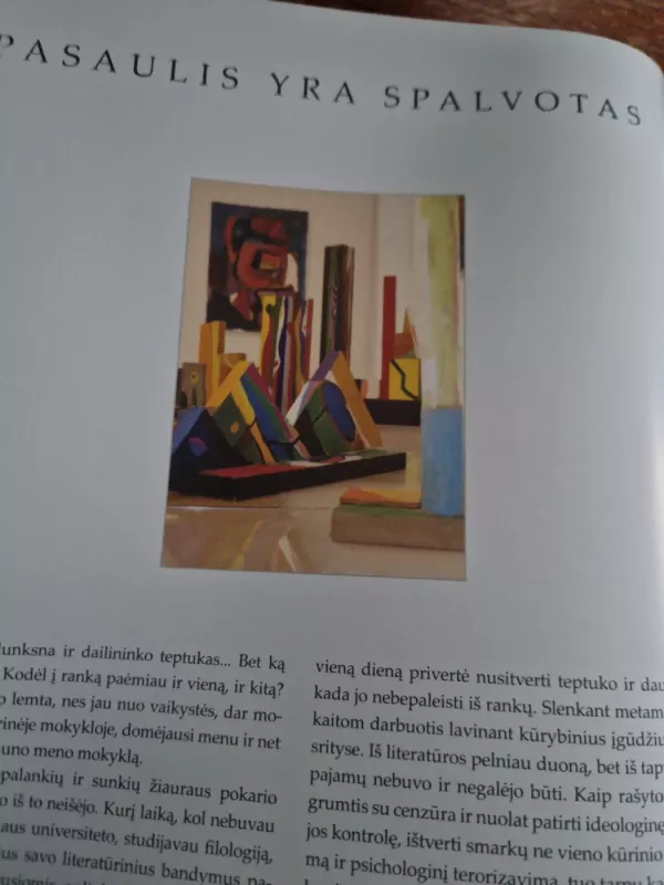 Romualdas Lankauskas. Tapyba - Romualdas Lankauskas, knyga 4