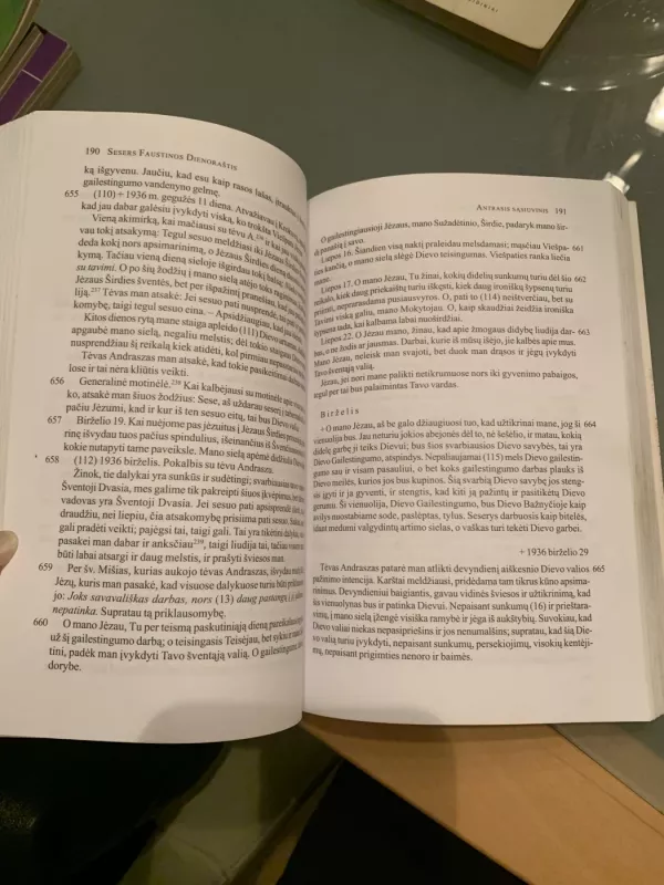 Dienoraštis. Dievo gailestingumas mano sieloje - Faustina Kovalska, knyga 3