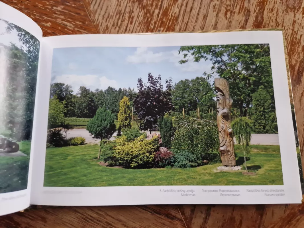 Radviliškio kraštas - Autorių Kolektyvas, knyga 6