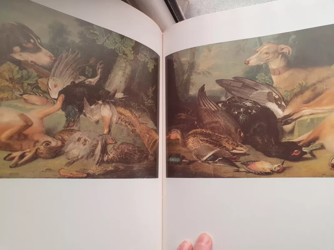 Vakarų Europos tapyba Lietuvos TSR muziejuose - Eugenijus Potalujus, knyga 5