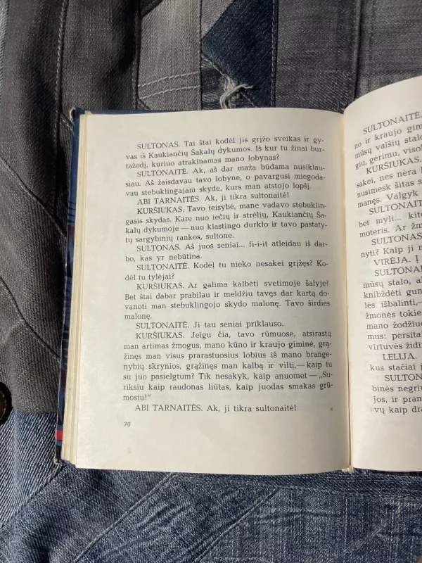 Kuršiukas - Aldona Liobytė, knyga 5