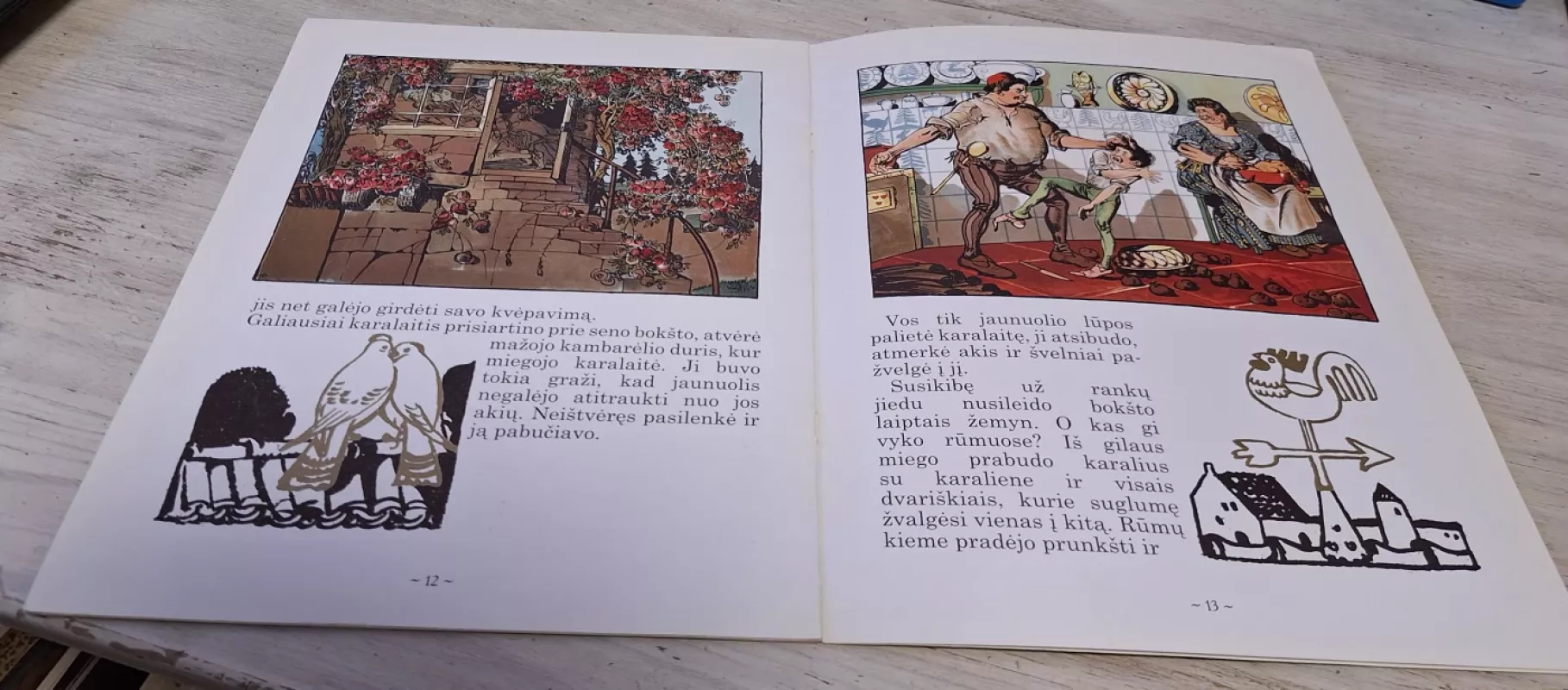 Miegančioji gražuolė - Broliai Grimai, knyga 5