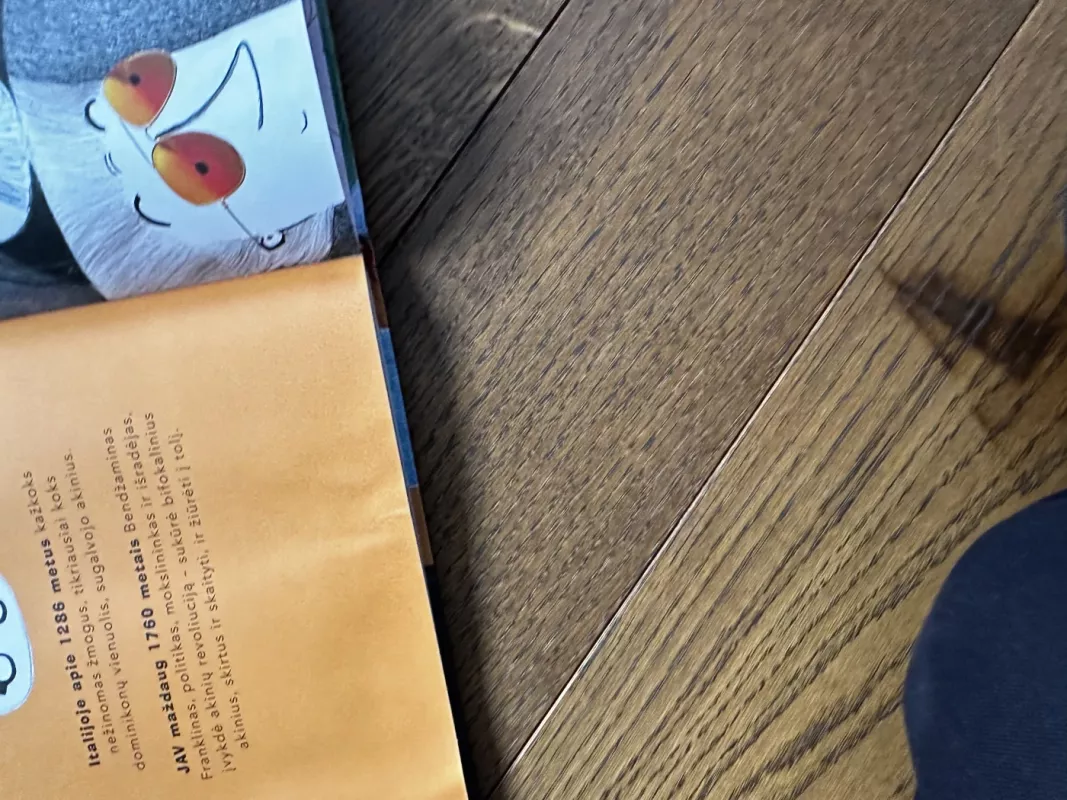 interviu su daiktais - Audronė Meškauskaitė, knyga 5