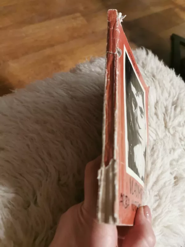 Vladimiras, arba nutrūkęs skrydis - Marina Vladi, knyga 3