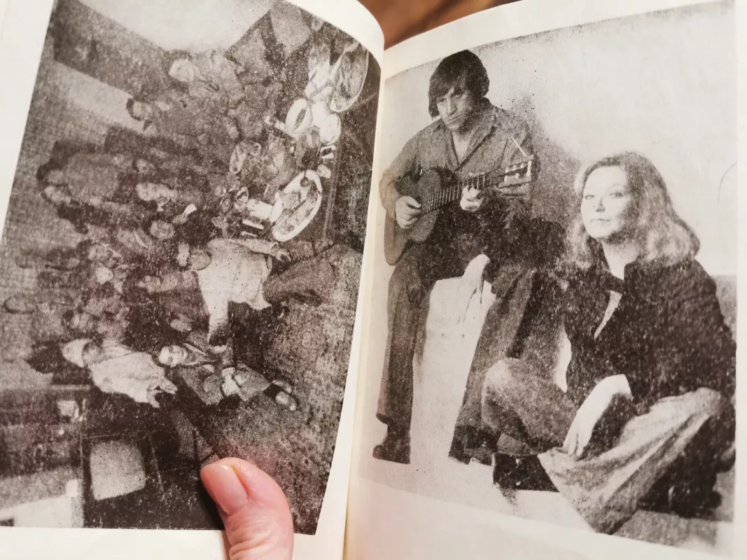 Vladimiras, arba nutrūkęs skrydis - Marina Vladi, knyga 4