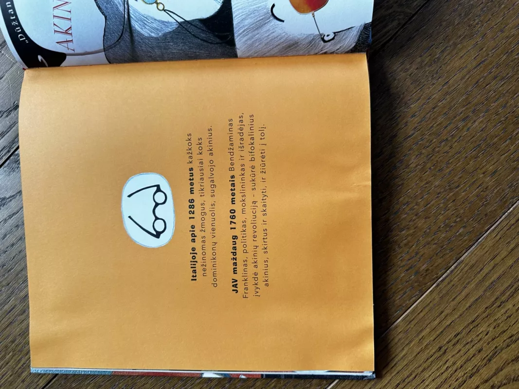 interviu su daiktais - Audronė Meškauskaitė, knyga 4