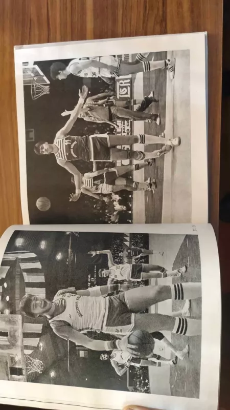 Žalgirio vyrai - R. Požerskis, R.  Rakauskas, knyga 3