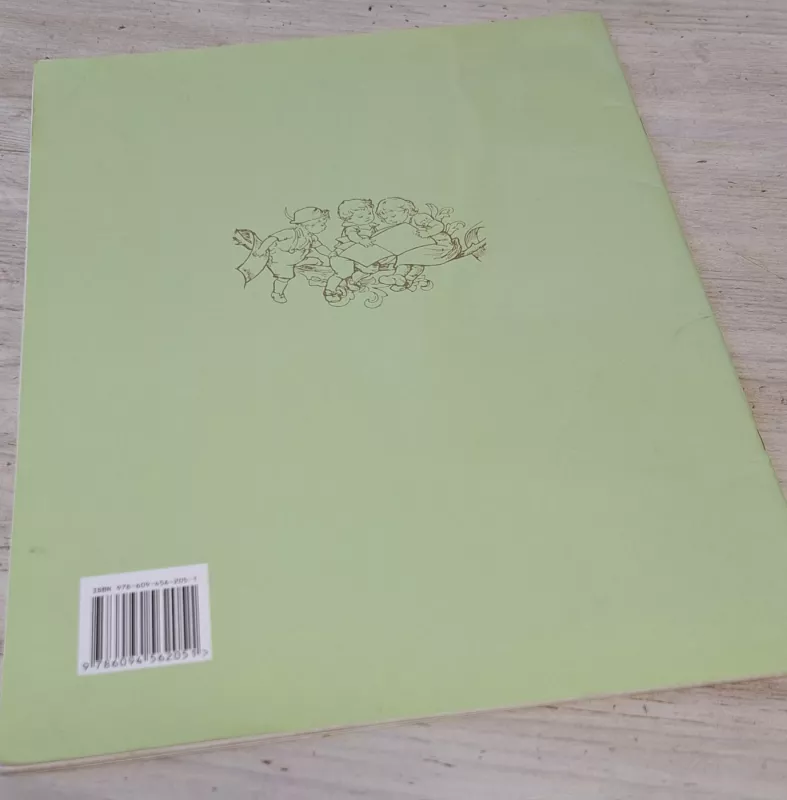 Miegančioji gražuolė - Broliai Grimai, knyga 3