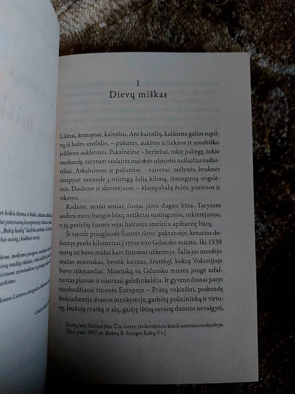 Dievų miškas - Balys Sruoga, knyga 5