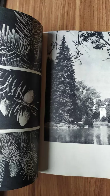 Lietuvos medžiai - Algirdas Navasaitis, knyga 3