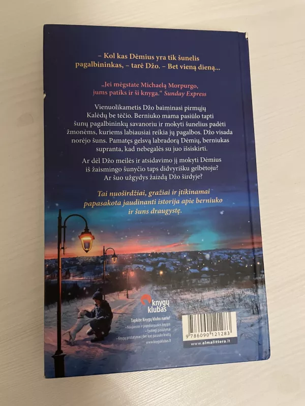 Šunelis didvyris - Megan Rix, knyga 3