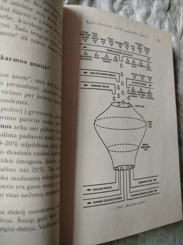 Kaip išvalyti savo karmos ąsotį - Aleksandras Svijašas, knyga 4