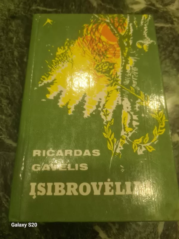 Įsibrovėliai - Ričardas Gavelis, knyga 2