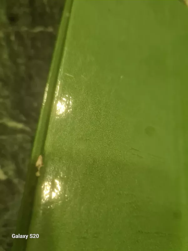 Įsibrovėliai - Ričardas Gavelis, knyga 3