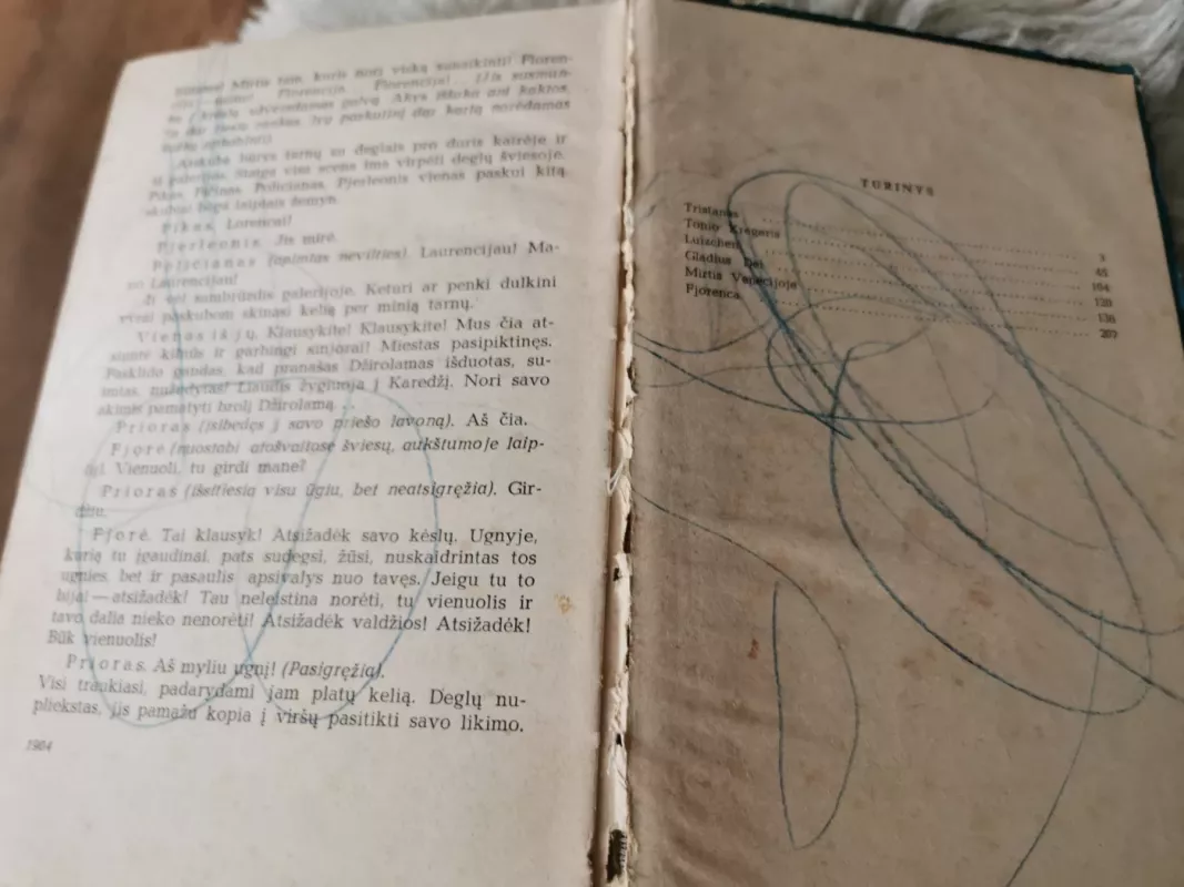 Mirtis Venecijoje - Tomas Manas, knyga 4