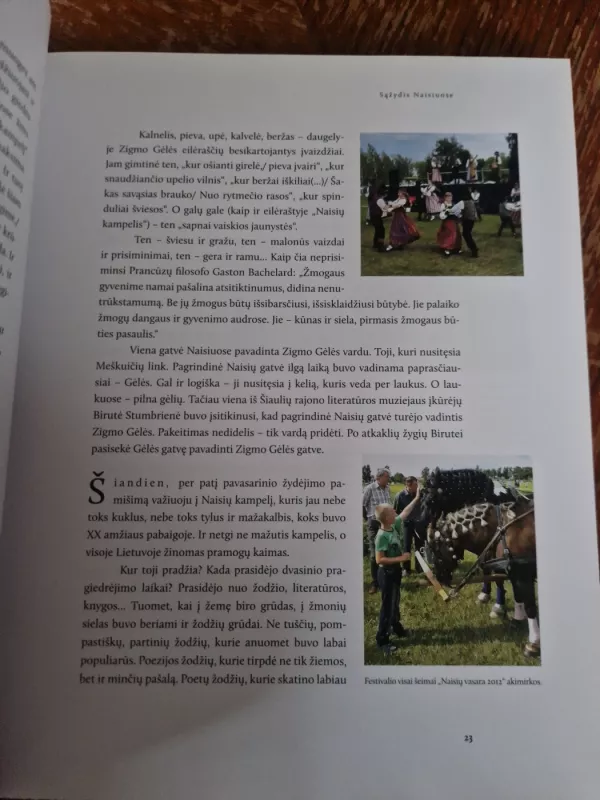 Zigmo Gėlės namai - Vytautas Kirkutis, knyga 4