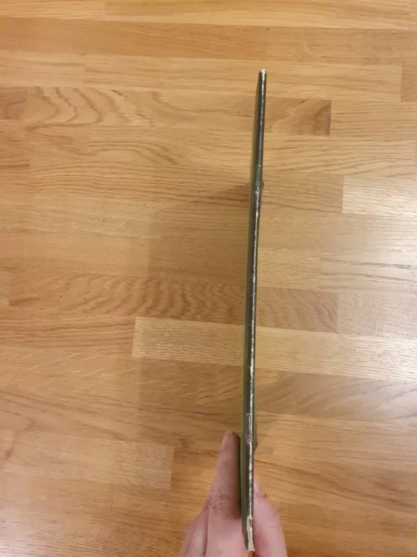 Žalias pareiškimas - Juozas Erlickas, knyga 4