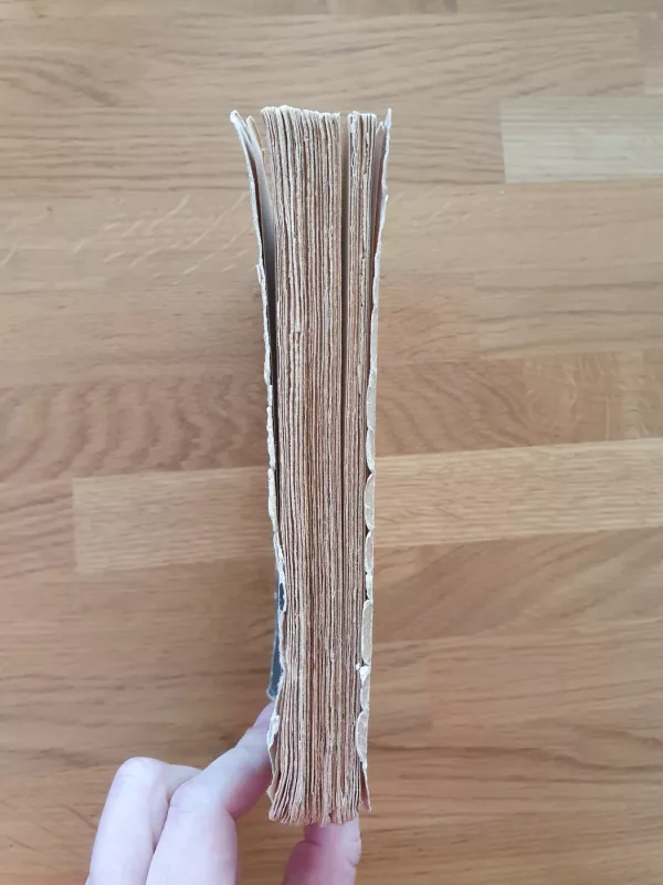 Motina - Pearl Buck, knyga 4