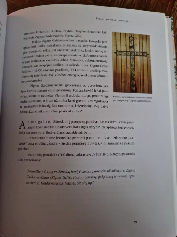 Zigmo Gėlės namai - Vytautas Kirkutis, knyga 5