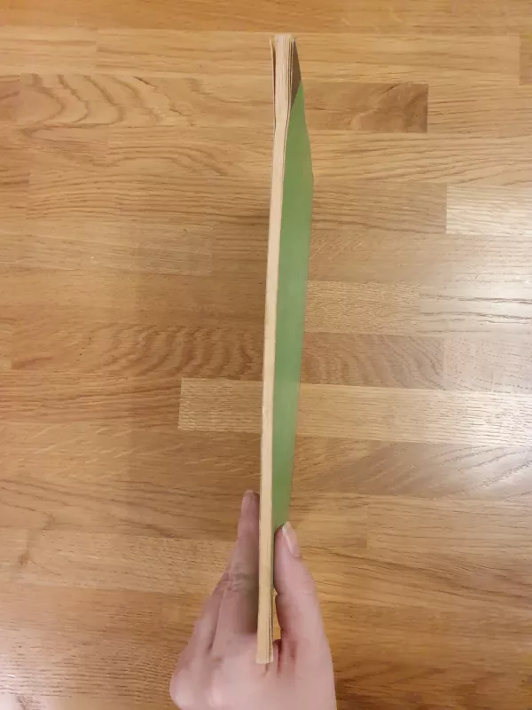 Žalias pareiškimas - Juozas Erlickas, knyga 5