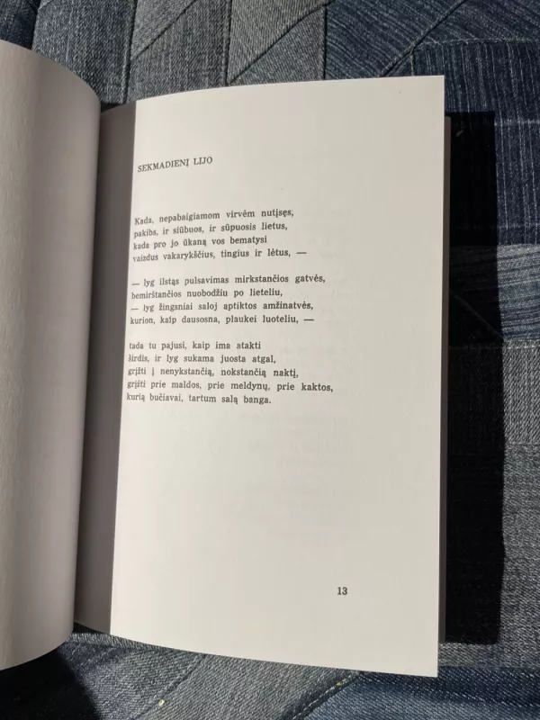 Vardai vandenims ir dienoms - Jurgis Blekaitis, knyga 4