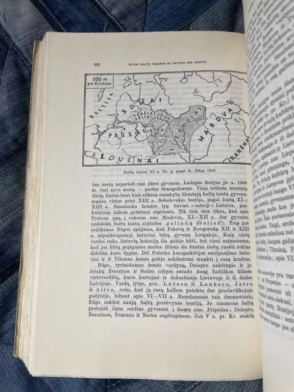 Raštai III. Įvairūs straipsniai - Antanas Salys, knyga 5