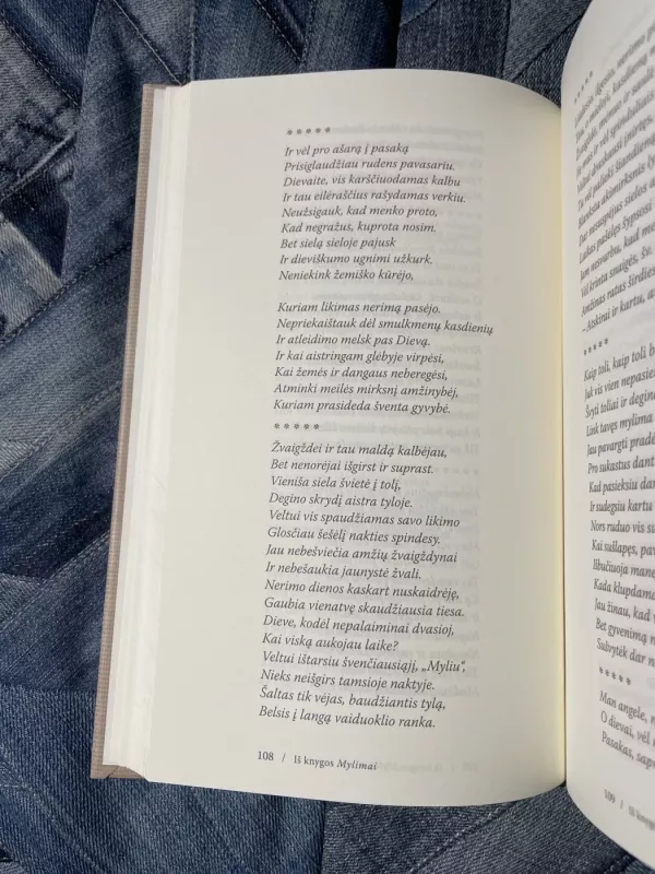 Žmogaus meilė - Povilas Kulvinskas, knyga 4