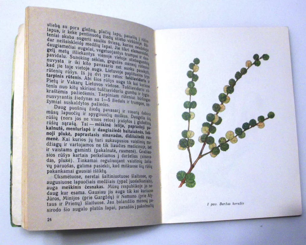 Retieji globotini augalai - R. Jankevičienė, knyga 6