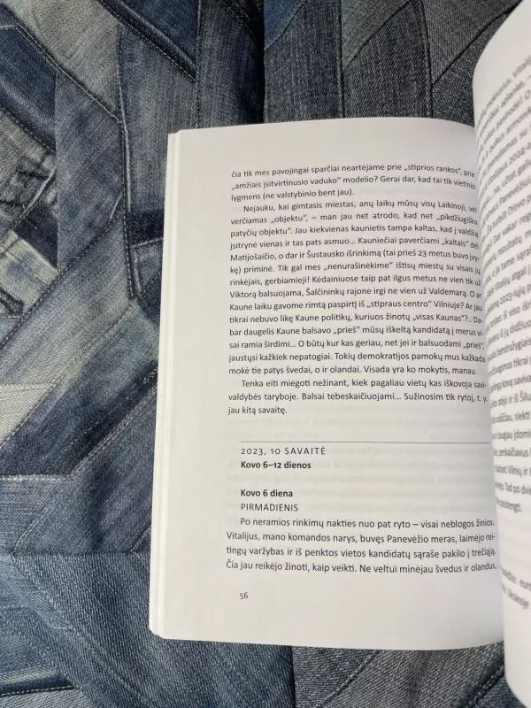 Dar ne vakaras, Europa - Liudas Mažylis, knyga 5