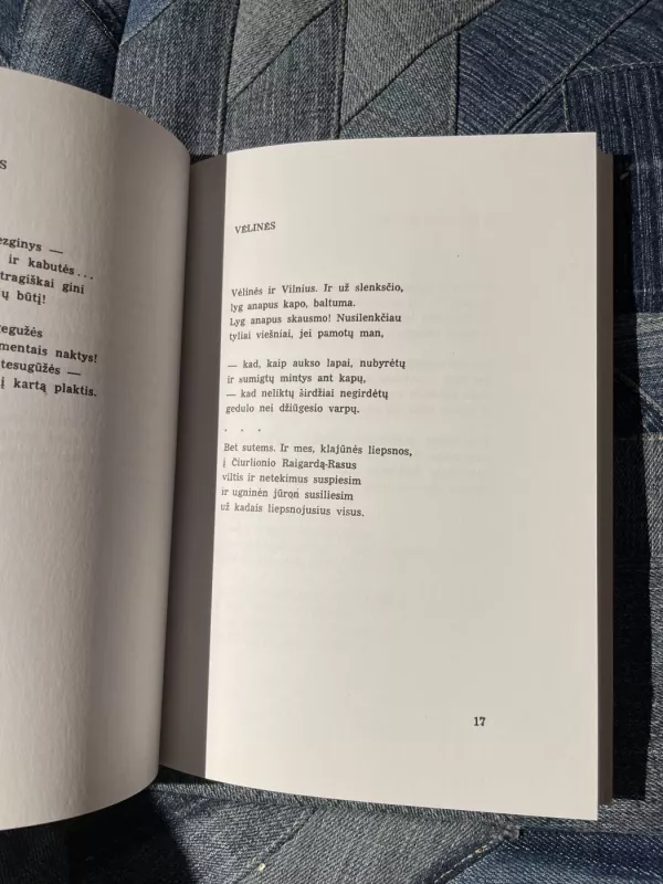 Vardai vandenims ir dienoms - Jurgis Blekaitis, knyga 5