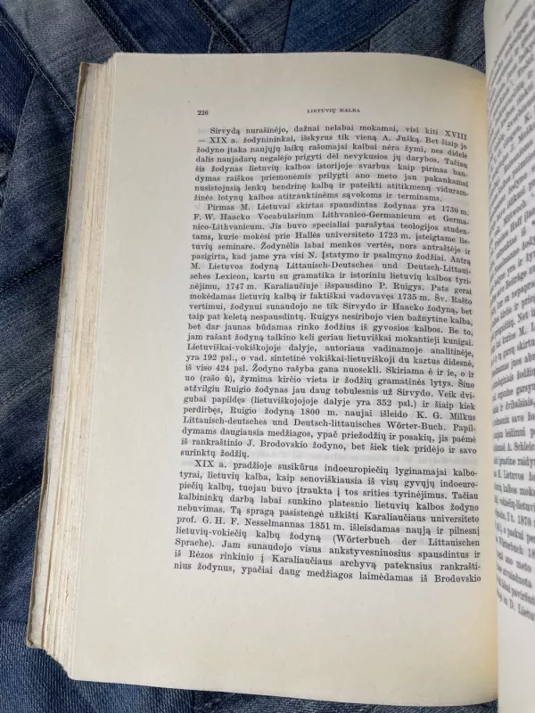 Raštai III. Įvairūs straipsniai - Antanas Salys, knyga 4