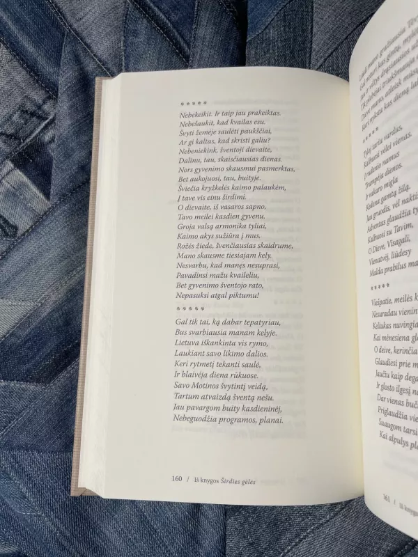 Žmogaus meilė - Povilas Kulvinskas, knyga 5