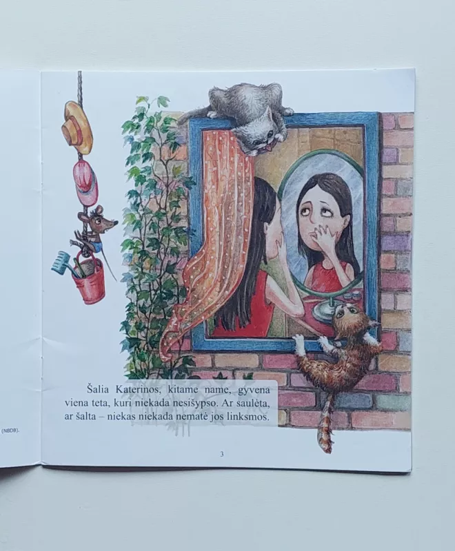 Teta, kuri nesišypsojo - Nomeda Balasevičiūtė, knyga 4