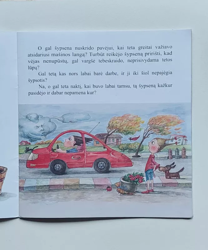 Teta, kuri nesišypsojo - Nomeda Balasevičiūtė, knyga 6