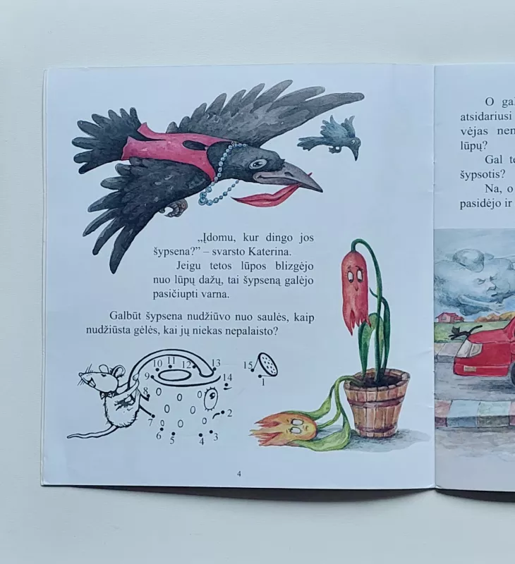 Teta, kuri nesišypsojo - Nomeda Balasevičiūtė, knyga 5