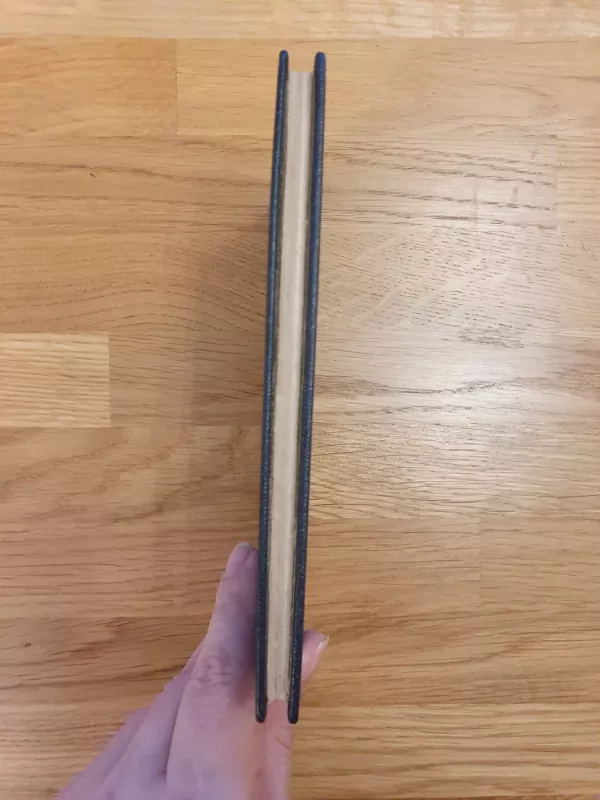 Okolice Wilna - Stanislaw Jarocki, knyga 6