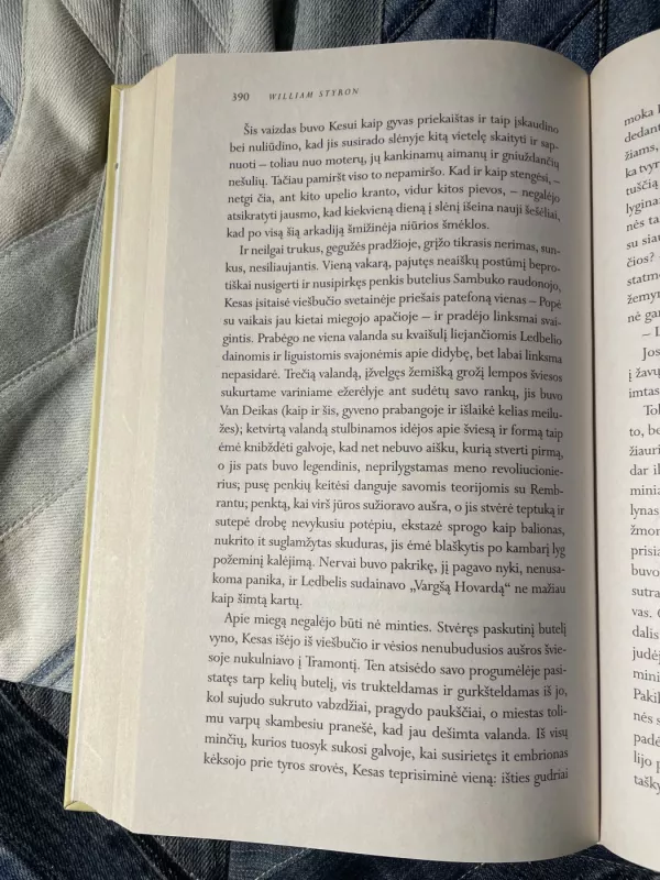 Ir padegė šiuos namus - William Styron, knyga 6