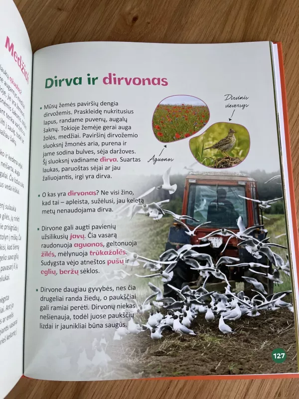 Eime į Gamtą  Pamatyk ir sužinok - Selemonas Paltanavičius, knyga 5