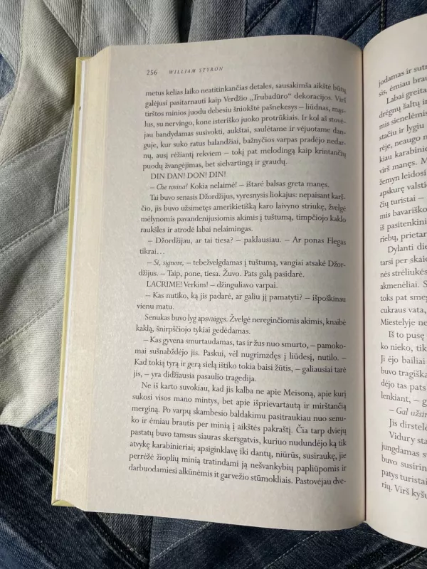 Ir padegė šiuos namus - William Styron, knyga 5