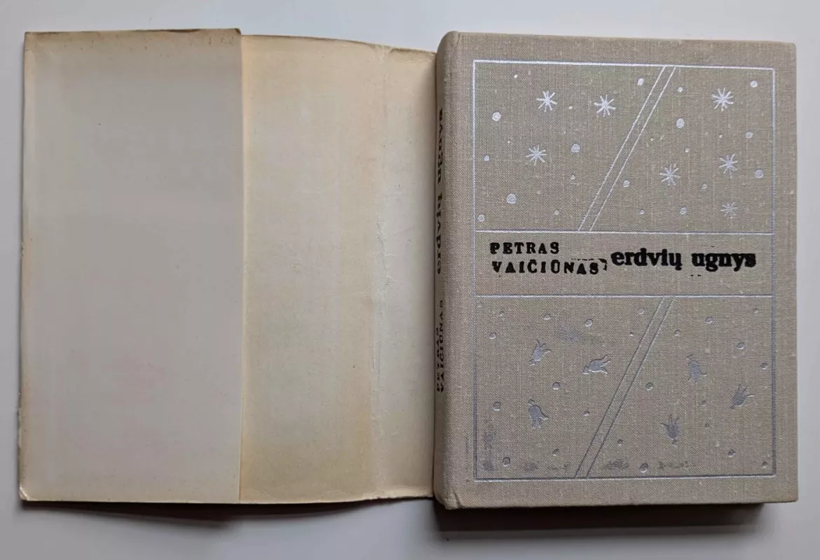 Erdvių ugnys - Petras Vaičiūnas, knyga 3