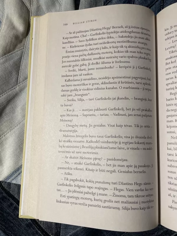 Ir padegė šiuos namus - William Styron, knyga 4