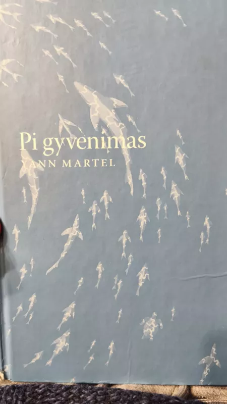 Pi gyvenimas - Yann Martel, knyga 2