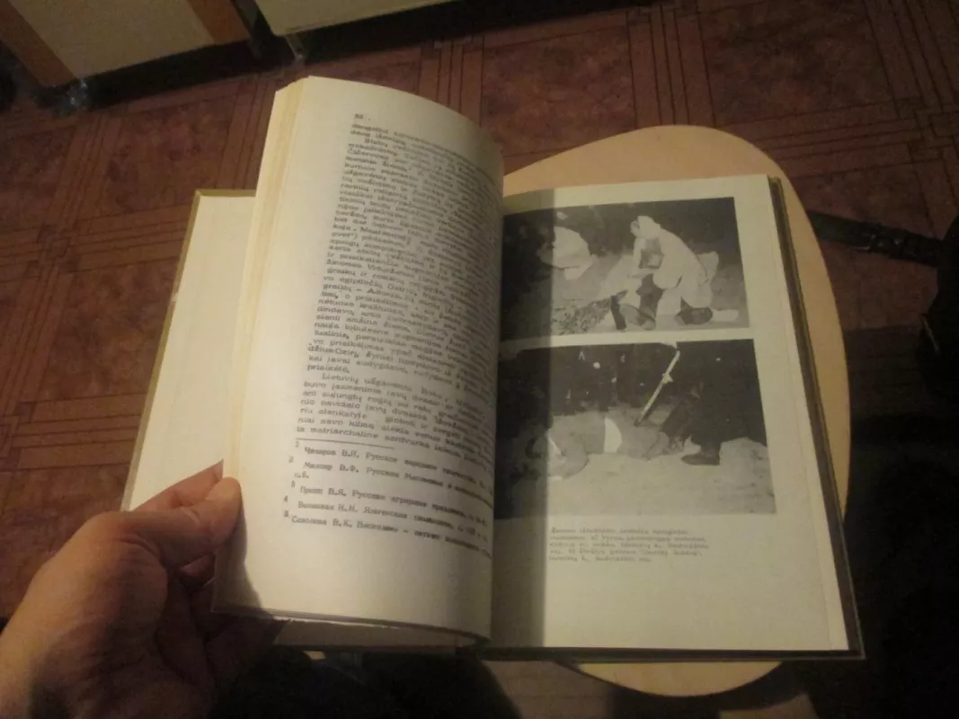 Lietuvių kalendoriniai ir agrariniai papročiai - Pranė Dundulienė, knyga 6