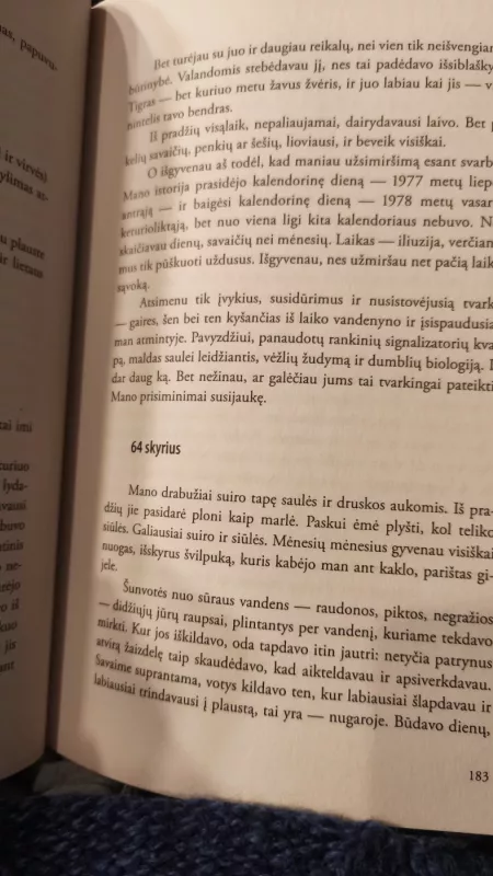 Pi gyvenimas - Yann Martel, knyga 3