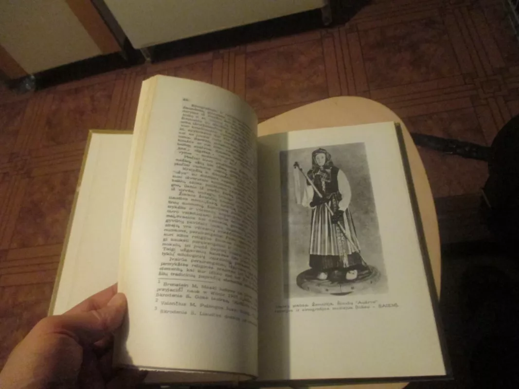 Lietuvių kalendoriniai ir agrariniai papročiai - Pranė Dundulienė, knyga 5